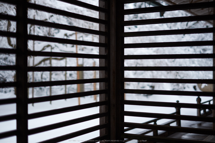 常照皇寺,雪景,初詣(DSCF9934,f-1.6,35 mm,XT1)2015yaotomi_.jpg