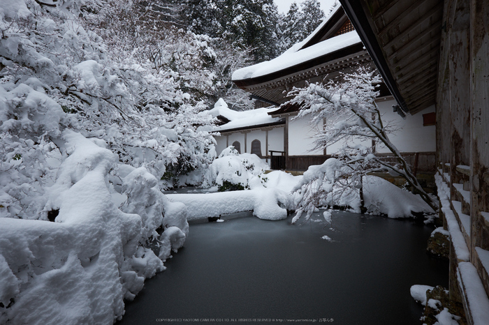 常照皇寺,雪景,初詣(DSCF9940,f-9,10 mm,XT1)2015yaotomi_.jpg