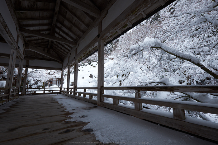 常照皇寺,雪景,初詣(DSCF9942,f-9,10 mm,XT1)2014yaotomi_.jpg
