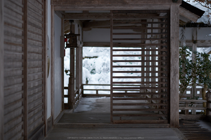 常照皇寺,雪景,初詣(DSCF9952,f-1.4,56 mm,XT1)2015yaotomi_.jpg