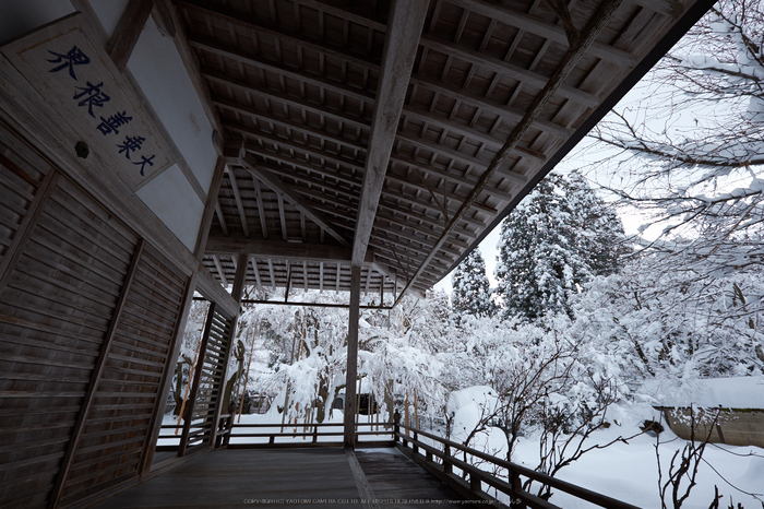 常照皇寺,雪景,初詣(DSCF9979,f-8,10 mm,XT1)2015yaotomi_.jpg