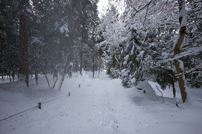 常照皇寺,雪景,初詣(DSCF9991,f-11,10 mm,XT1)2015yaotomi_.jpg