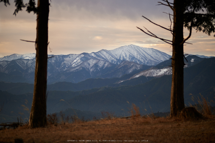 曽爾,屏風岩公苑,冬(DSC_4881,100 mm,f-2,Df)2015yaotomi_.jpg