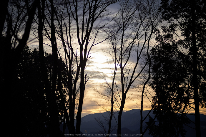 曽爾,屏風岩公苑,冬(DSC_4883,100 mm,f-2,Df)2015yaotomi_.jpg