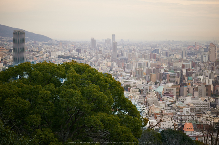 神戸,冬景(DSC_4578,100 mm,f-2,Df)2015yaotomi_.jpg