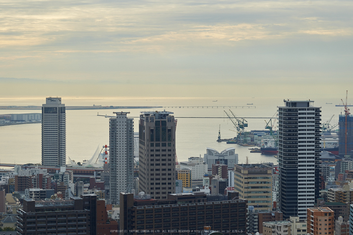 神戸,冬景(DSC_4584,100 mm,f-5.6,Df)2015yaotomi_ 1.jpg