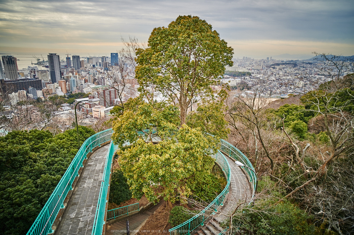 神戸,冬景(DSC_4618,21 mm,f-2.8,Df)2015yaotomi_.jpg