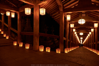 長谷寺,奈良初詣(DSCF9313,f-6.4,18 mm,XT1)2015yaotomi_ 1.jpg