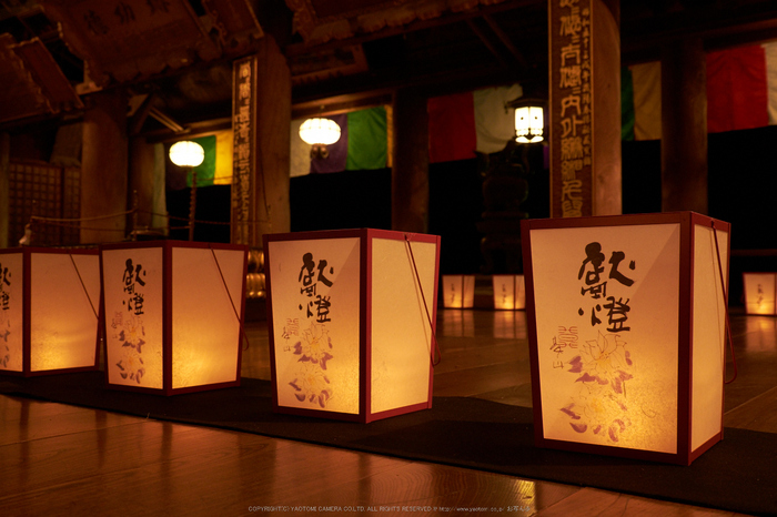 長谷寺,奈良初詣(DSCF9315,f-5,23 mm,XT1)2014yaotomi_.jpg