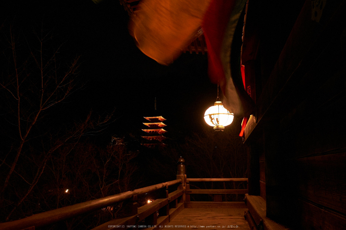 長谷寺,奈良初詣(DSCF9355,f-5.6,18 mm,XT1)2015yaotomi_.jpg