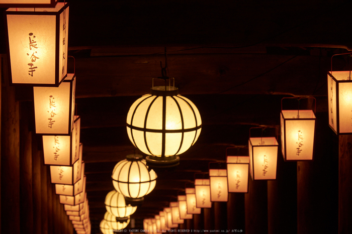 長谷寺,奈良初詣(DSCF9435,f-8,99 mm,XT1)2015yaotomi_.jpg