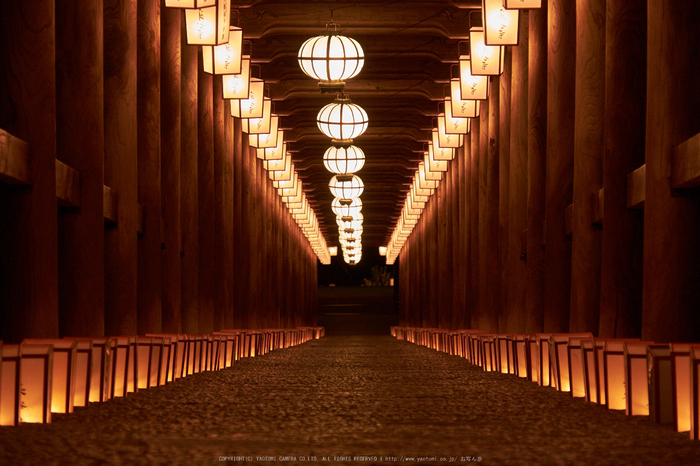 長谷寺,奈良初詣(DSCF9496,f-7.1,104 mm,XT1)2015yaotomi_.jpg