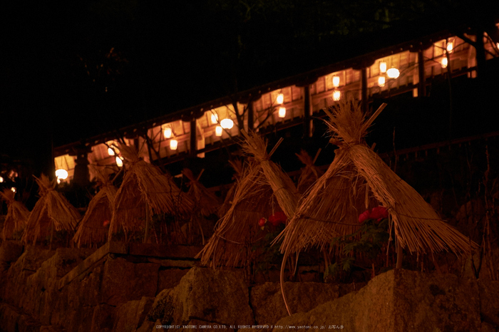 長谷寺,奈良初詣(DSCF9535,f-5.6,52 mm,XT1)2015yaotomi_.jpg