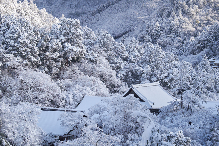 高山寺,雪景,初詣(DSCF9796,f-8,41 mm,XT1)2015yaotomi_.jpg