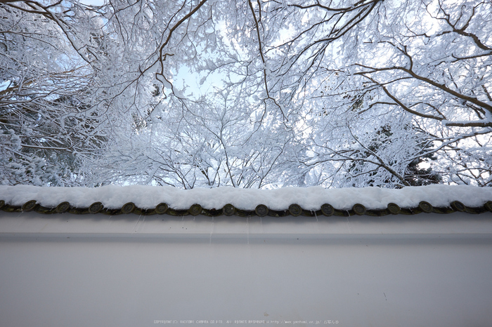 高山寺,雪景,初詣(DSCF9800,f-9,10 mm,XT1)2015yaotomi_.jpg