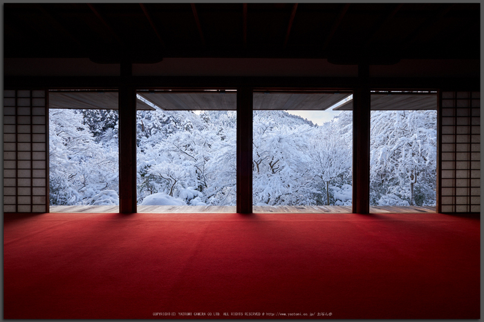 高山寺,雪景,初詣(DSCF9810,Top)2015yaotomi_.jpg