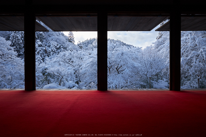 高山寺,雪景,初詣(DSCF9811,f-11,13 mm,XT1)2015yaotomi_.jpg