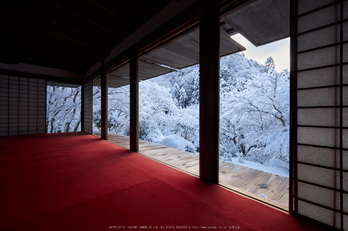 高山寺,雪景,初詣(DSCF9815,f-10,10 mm,XT1)2015yaotomi_.jpg