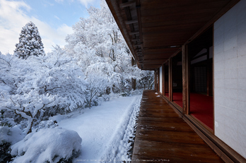 高山寺,雪景,初詣(DSCF9819,f-10,10 mm,XT1)2015yaotomi_.jpg