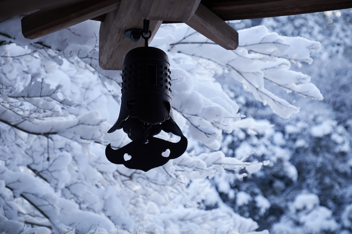 高山寺,雪景,初詣(DSCF9828,f-6.4,70 mm,XT1)2015yaotomi_.jpg