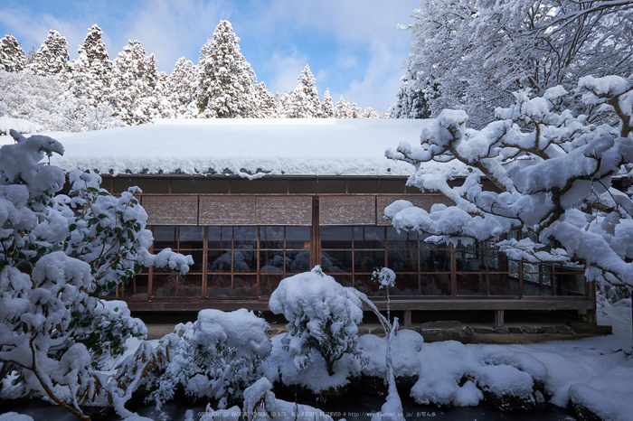 高山寺,雪景,初詣(DSCF9841,f-9,12 mm,XT1)2015yaotomi_.jpg