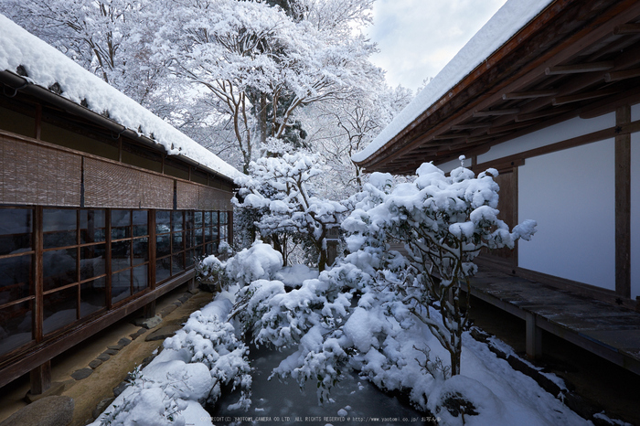 高山寺,雪景,初詣(DSCF9844,f-9,10 mm,XT1)2015yaotomi_.jpg