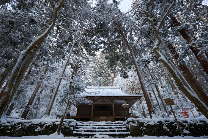 高山寺,雪景,初詣(DSCF9861,f-9,10 mm,XT1)2015yaotomi_ 1.jpg