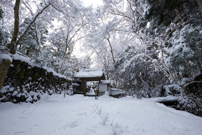 高山寺,雪景,初詣(DSCF9871,f-9,10 mm,XT1)2015yaotomi_.jpg