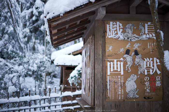 高山寺,雪景,初詣(DSCF9875,f-1.4,35 mm,XT1)2015yaotomi_.jpg