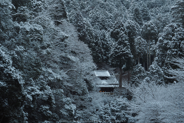 京都,神護寺,雪景(P2140308,47 mm,f-8,EM5II)2015yaotomi_.jpg