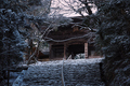 京都,神護寺,雪景(P2140320,47 mm,f-8,FULL)2015yaotomi_.jpg
