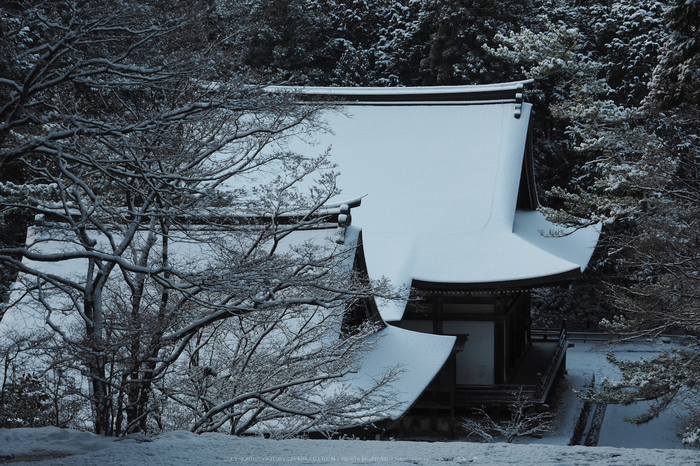 京都,神護寺,雪景(P2140345,47 mm,f-8,EM5II)2015yaotomi_.jpg