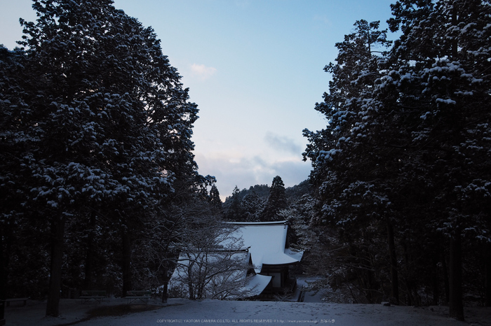 京都,神護寺,雪景(P2140346,14 mm,f-8,EM5II)2015yaotomi_.jpg