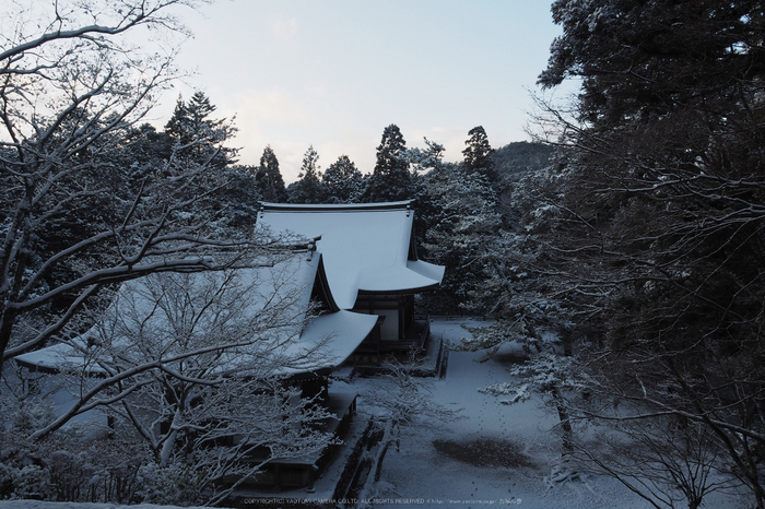 京都,神護寺,雪景(P2140366,14 mm,f-8,EM5II)2015yaotomi_.jpg