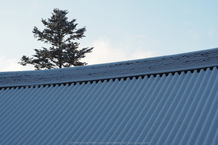 京都,神護寺,雪景(P2140386,42 mm,f-8,EM5II)2015yaotomi_.jpg