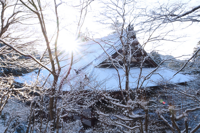 京都,神護寺,雪景(P2140392,14 mm,f-14,EM5II)2015yaotomi_.jpg