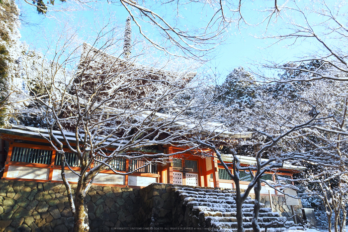 京都,神護寺,雪景(P2140396,14 mm,f-8,EM5II)2015yaotomi_.jpg