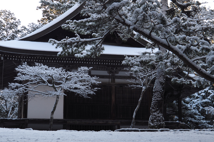 京都,神護寺,雪景(P2140409,39 mm,f-5.3,EM5II)2015yaotomi_.jpg