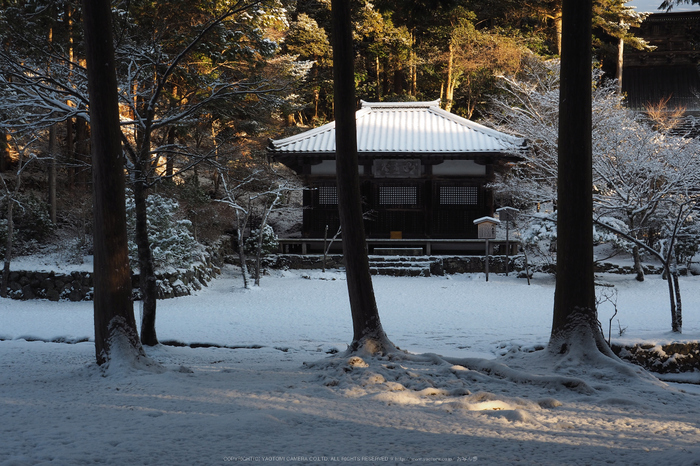 京都,神護寺,雪景(P2140422,25 mm,f-9,EM5II)2015yaotomi_.jpg