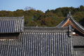 京都,萬福寺,冬(P1000100,88 mm,f-5.6,GF7)2015yaotomi_.jpg