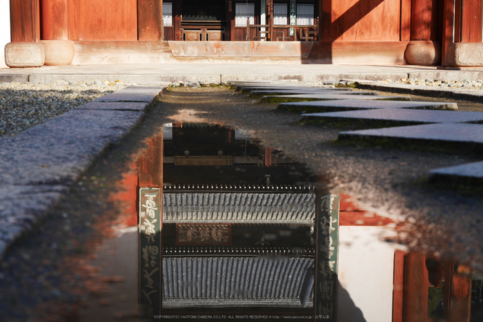 京都,萬福寺,冬(P1000137,32 mm,f-5.6,GF7)2015yaotomi_.jpg