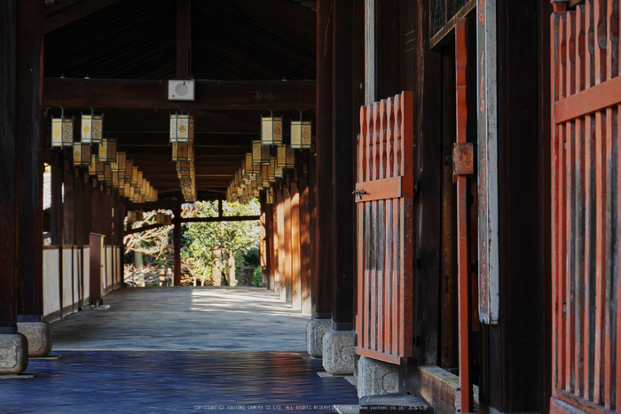 京都,萬福寺,冬(P1000177,62 mm,f-5.6,GF7)2015yaotomi_.jpg
