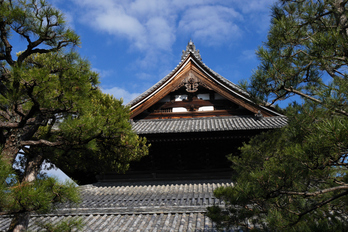 京都,萬福寺,冬(P1000198,19 mm,f-8,GF7)2015yaotomi_.jpg