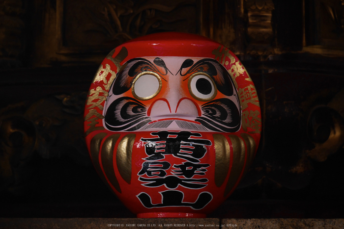 京都,萬福寺,冬(P1000222,80 mm,f-5.6,GF7)2015yaotomi_.jpg