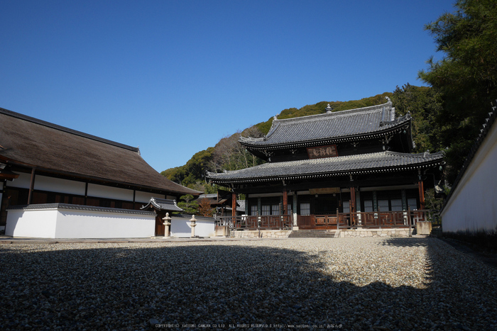 京都,萬福寺,冬(P1000249,12 mm,f-8,GF7)2015yaotomi_.jpg