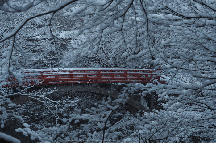 京都,西明寺,雪景(P2140265,47 mm,f-7.1,EM5II)2015yaotomi_.jpg