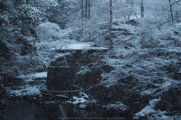 京都,西明寺,雪景(P2140268,29 mm,f-6.3,EM5II)2015yaotomi_.jpg