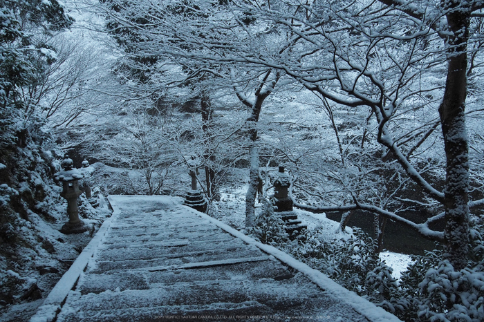 京都,西明寺,雪景(P2140275,14 mm,f-5.6,EM5II)2015yaotomi_.jpg