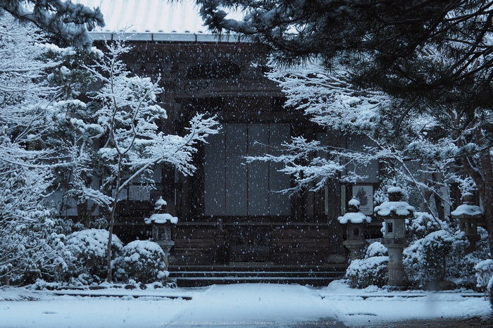 京都,西明寺,雪景(P2140284,45 mm,f-5.6,EM5II)2015yaotomi_.jpg