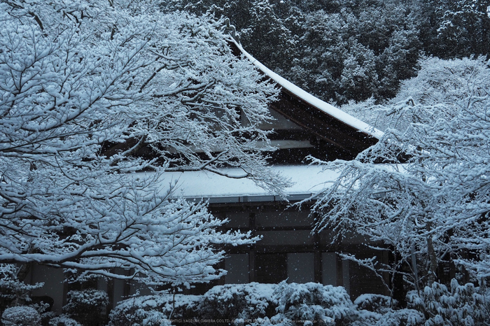 京都,西明寺,雪景(P2140290,22 mm,f-5.6,EM5II)2015yaotomi_.jpg